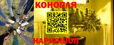 сатива Славянск-на-Кубани