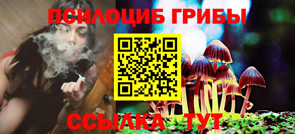Псилоцибиновые грибы Psilocybe  Вход с VPN  Галлюциногенные грибы Psilocybe  Отрадный 